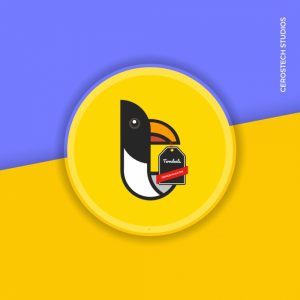 brochure flyer design services lahore pakistan